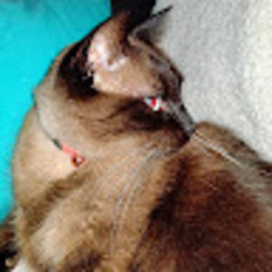 Meet your Posher, G. ellen